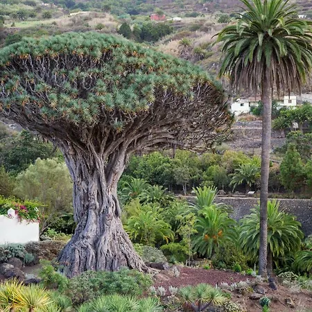 Ad Alberto Dorner - Modern * Icod De Los Vinos