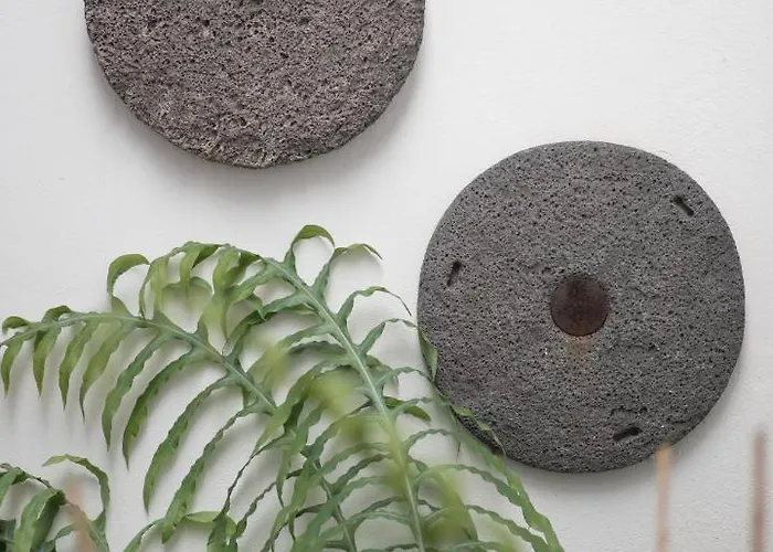 Ad Alberto Dorner - Modern Lägenhet