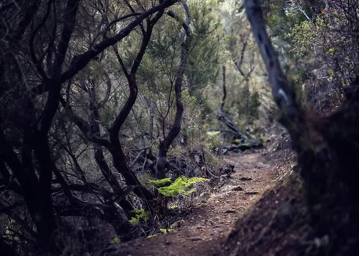 Lägenhet Ad Alberto Dorner - Modern Icod De Los Vinos