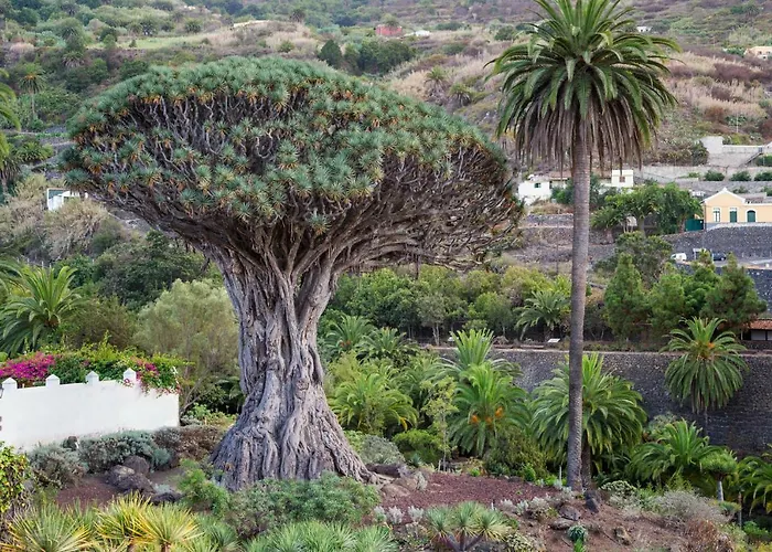 Ad Alberto Dorner - Modern * Icod De Los Vinos