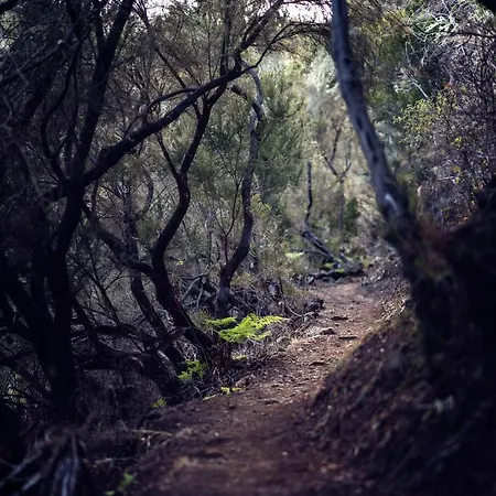 Appartement Ad Alberto Dorner - Modern Icod De Los Vinos
